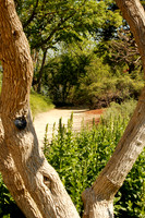 Garden Path