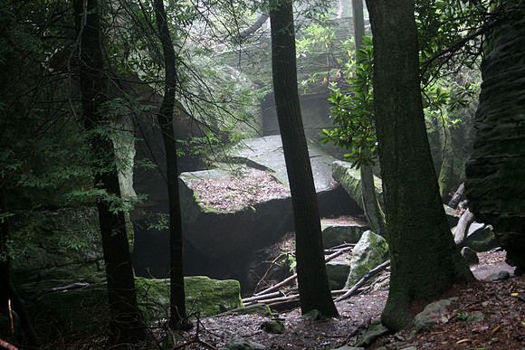Clearing, City of Rocks