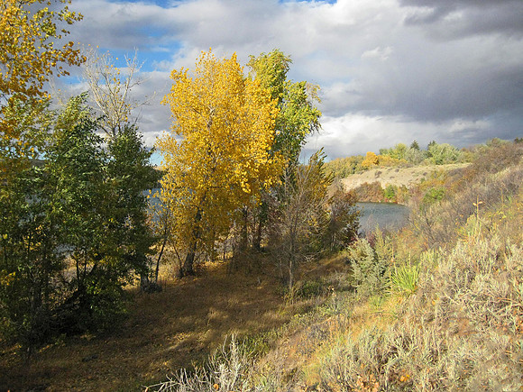 Montana Autumn