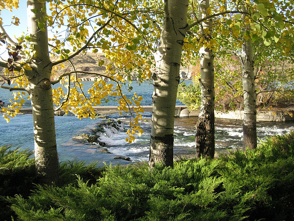 Giant Springs, Montana 2