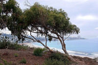 California Coast