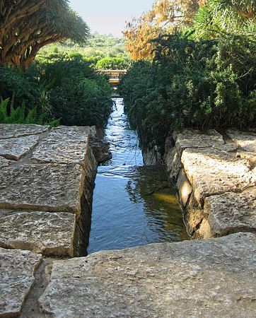 Garden Watercourse