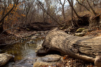 Winter Creek