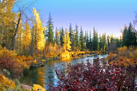Autumn on the Blackfoot