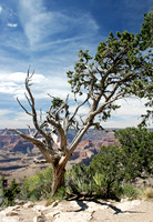 Grand Canyon Sentinel 2