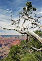 Grand Canyon Sentinel 1