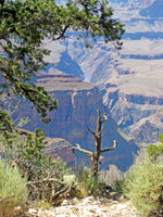 Grand Canyon Sentinel 3