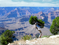 Grand Canyon Sentinel 4