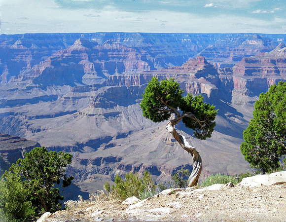 Grand Canyon Sentinel 4