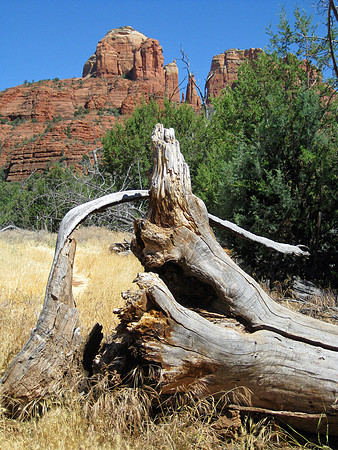 Sedona's Road Less Traveled