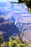 Glimpsing Colorado River